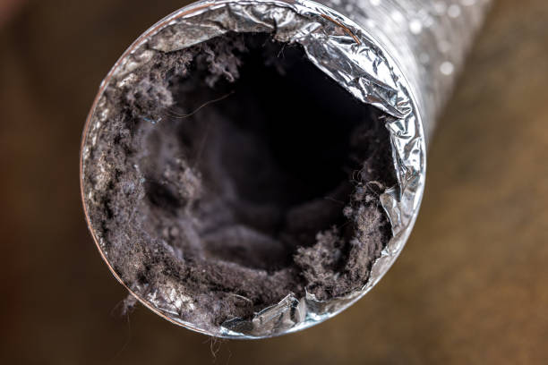 Best Air Duct Inspection  in Southport, IN