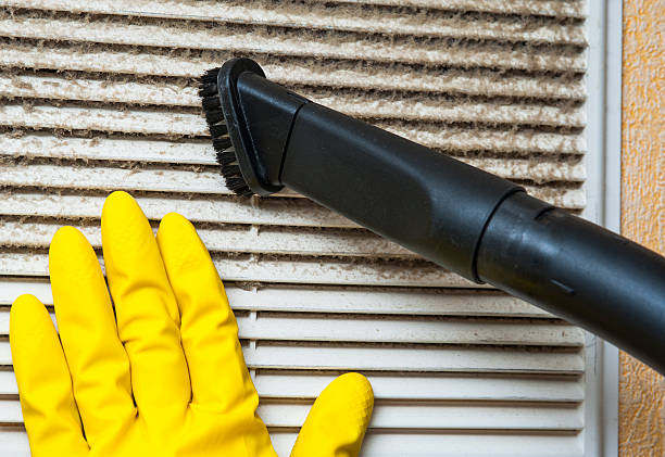 Best Duct Cleaning for Homes  in Southport, IN